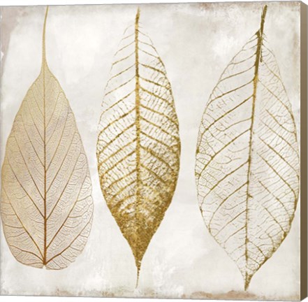 Framed Fallen Gold II Print