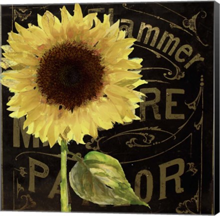 Framed Sunflower Salon I Print