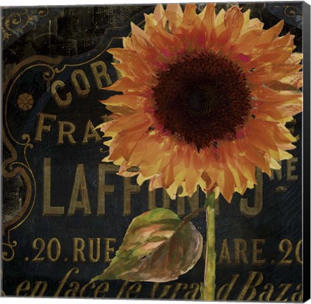 Framed Sunflower Salon II Print