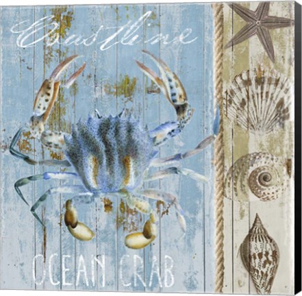 Framed Blue Crab II Print