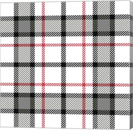 Framed Plaid White Print