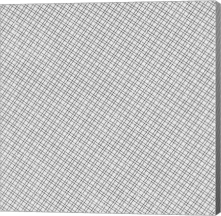 Framed Mesh Print