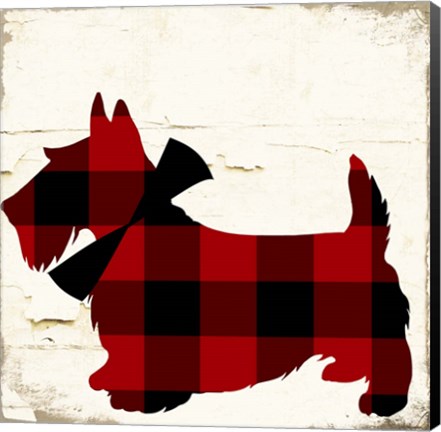 Framed Scotty I Print