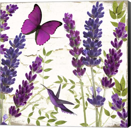 Framed Lavande II Print