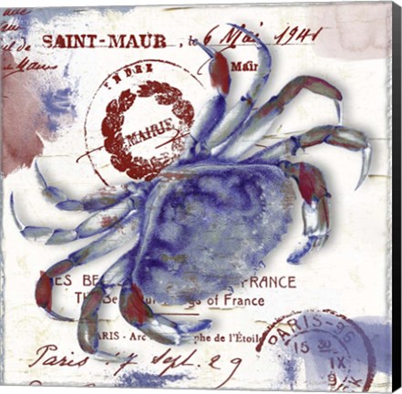 Framed Oceania I Print