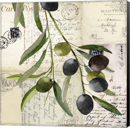 Framed Olivia I Print