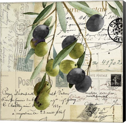 Framed Olivia II Print