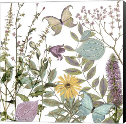 Framed Botanique Refresh 1 Print