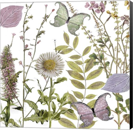 Framed Botanique Refresh 2 Print