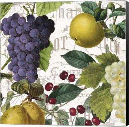 Framed Fruit Bowl I Print