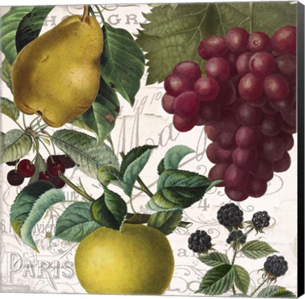 Framed Fruit Bowl II Print