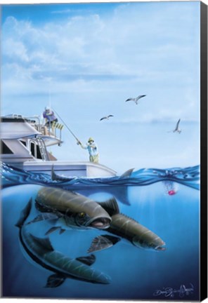 Framed Cobia Quest Print