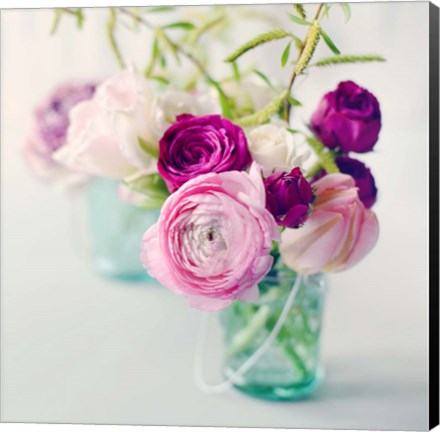 Framed Pink Ranunculus Print