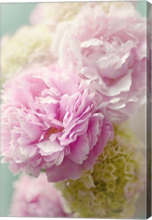 Framed Soft Pink Blooms Print