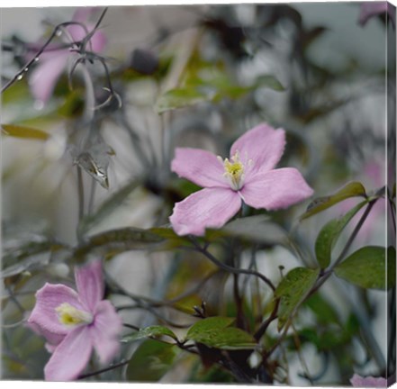 Framed Springtime II Print