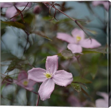 Framed Springtime I Print