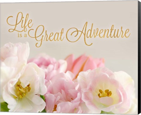 Framed Life is a Great Adventure Print