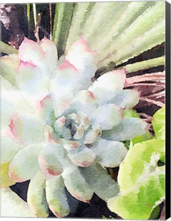 Framed Watercolor Green Succulent Print