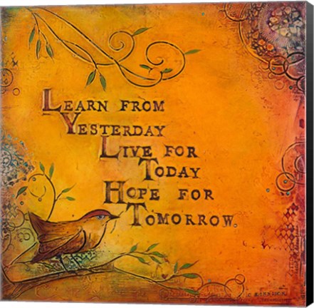 Framed Learn Live Hope I Print