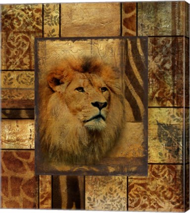 Framed Decorative Safari II (Lion) Print