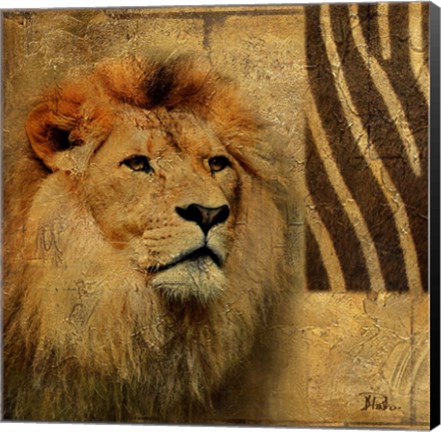 Framed Elegant Safari II (Lion) Print