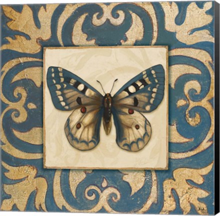 Framed Moroccan Butterfly I Print