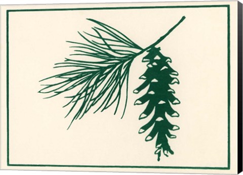 Framed Green Pine Print