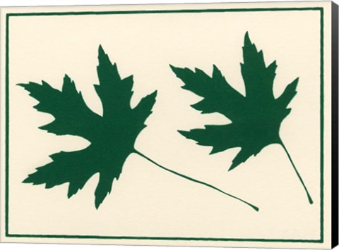Framed Green Leaves Print