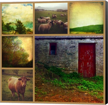 Framed Livestock Print