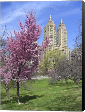 Framed Central Park Spring Colors Print