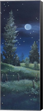 Framed Meadow at Night Print