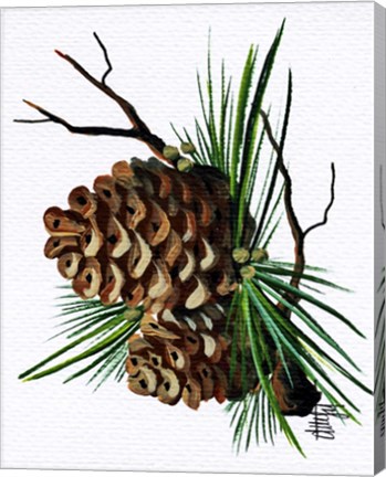 Framed Pine Cone Print