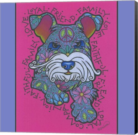 Framed Miniature Schnauzer Print