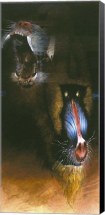 Framed Baboon Scream Print