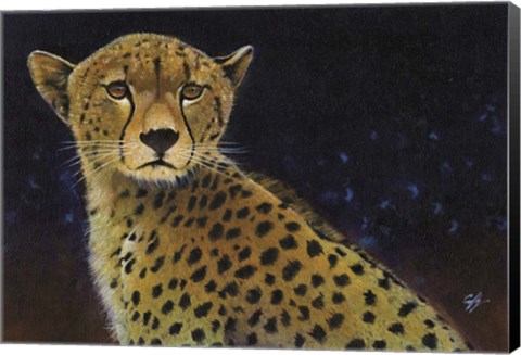 Framed Cheetah Print