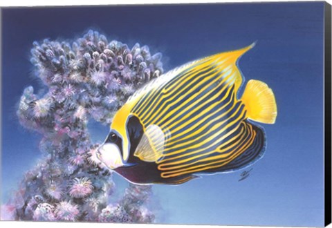 Framed Emperor Angel Print