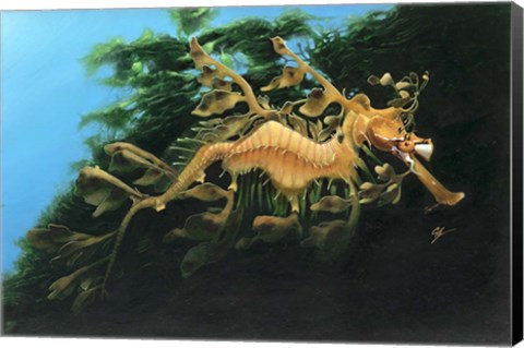 Framed Leafly Sea Dragon Print