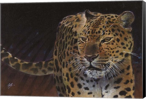 Framed Leopard Print