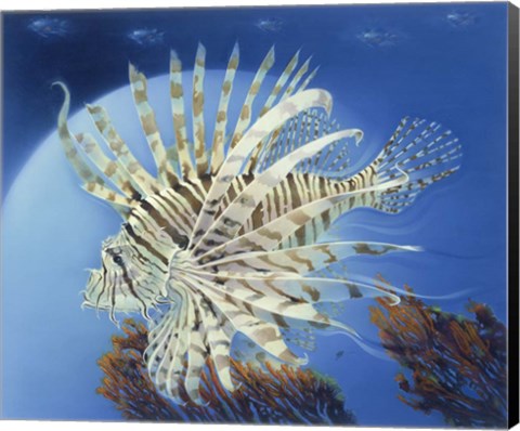 Framed Lion Fish Print