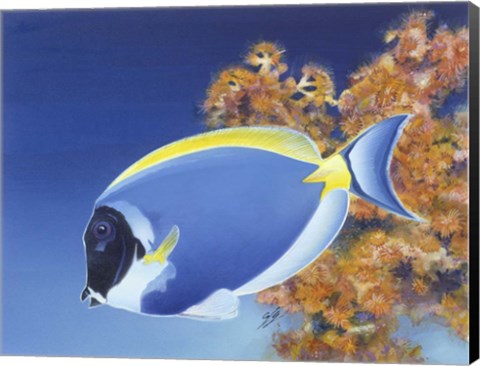 Framed Powder Blue Tang Print