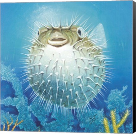 Framed Puffer Fish Print