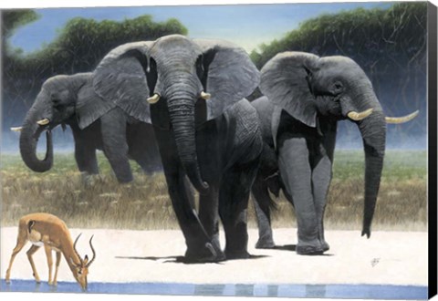 Framed Approach Print