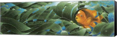 Framed Emerald Forest Print