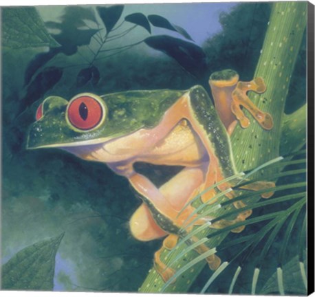 Framed Tree Frog Print