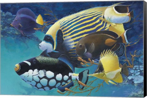 Framed Emporer Angel Print