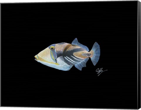 Framed Picasso Trigger Print