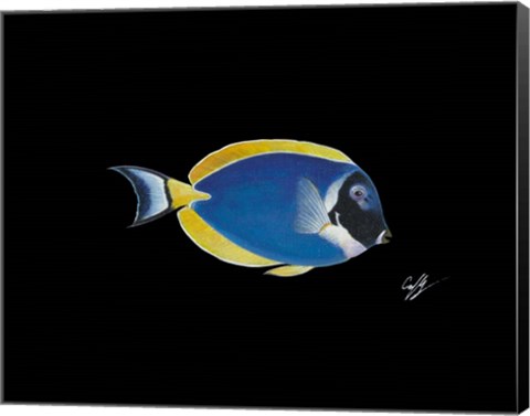 Framed Powder Blue Tang Print