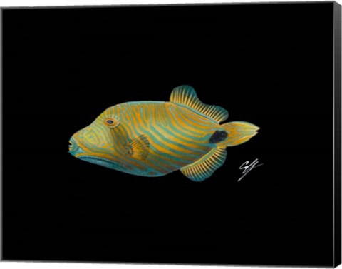 Framed Undulate Trigger Print