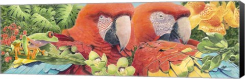 Framed Scarlet Macaws Print