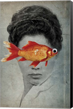 Framed Fish Eye Print
